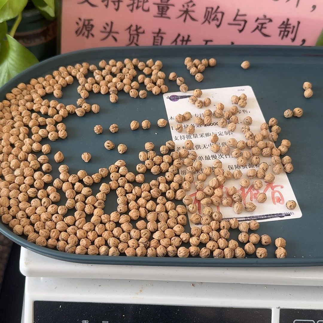 柏香籽/百香籽吊坠6.5+86HY005