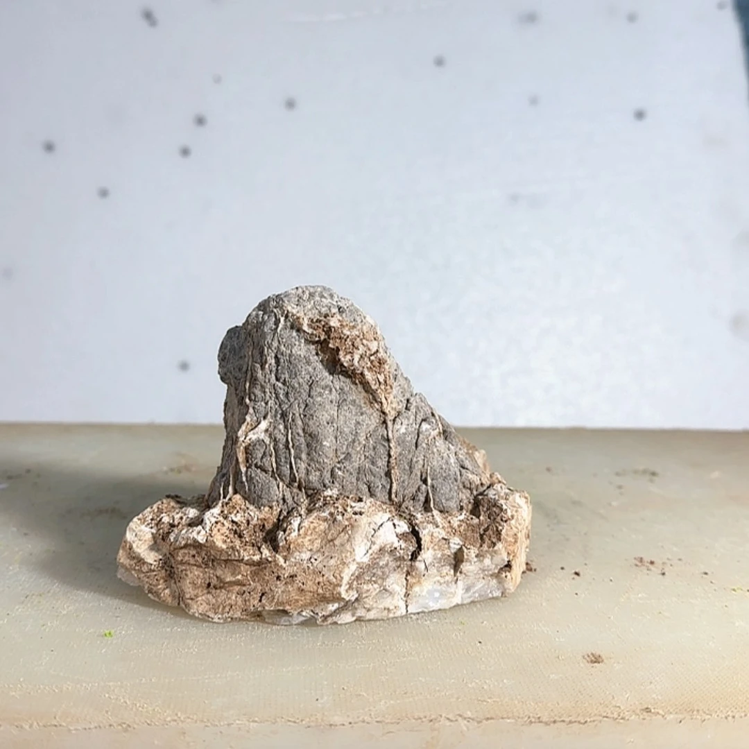 【闪购商品】香榧木晚*了结所有烦恼和遗憾没有理由放弃