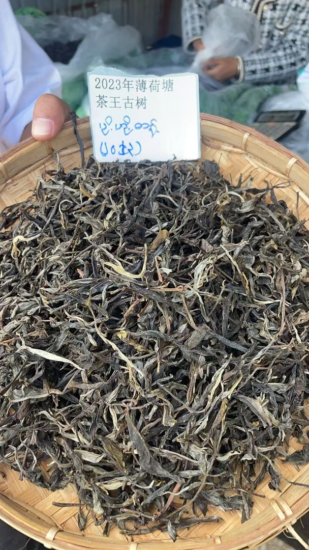 古树散茶2023年薄荷塘茶王古树WYSFi0828FR-777号(拍3单给1kg)