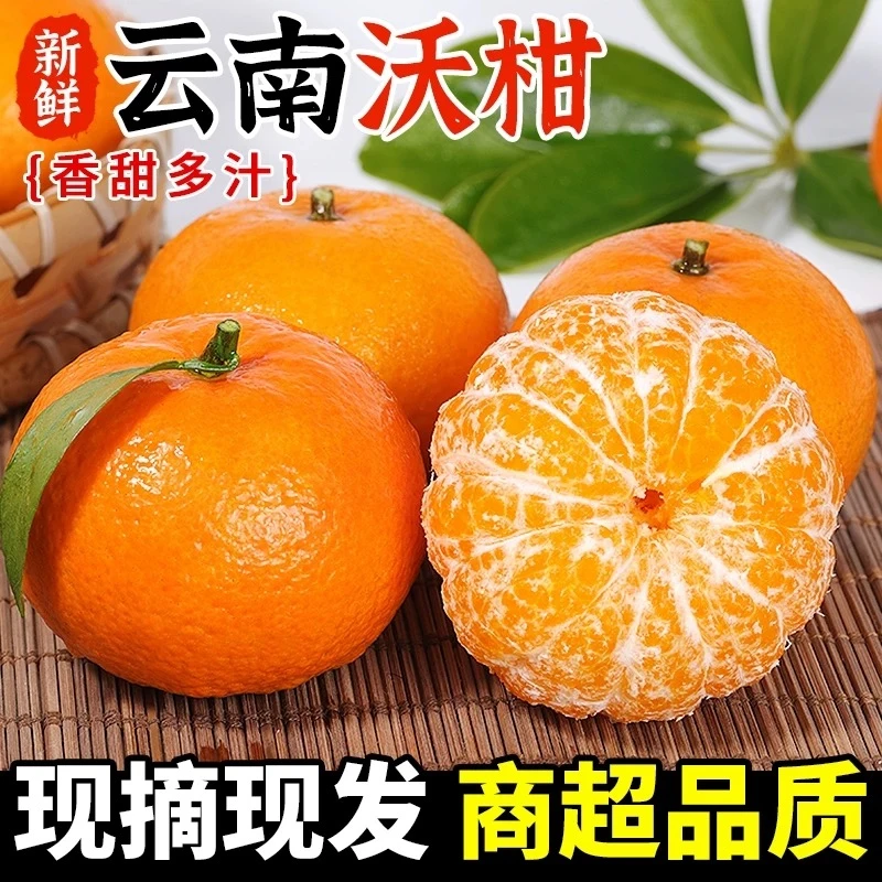 云南正宗高山沃柑新鲜水果皮薄多汁香甜柑橘果园直发包邮