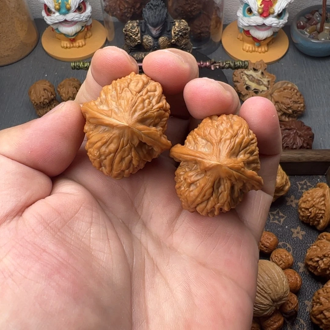 39平谷九月野驴蹄子全品