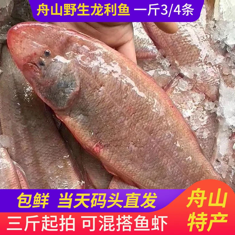 【4斤装】舟山野生龙利鱼