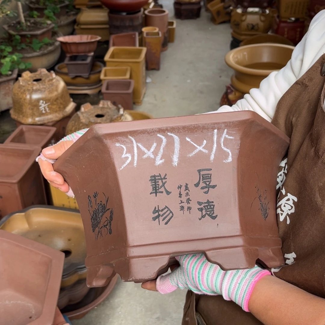 花盆紫砂盆景艺术