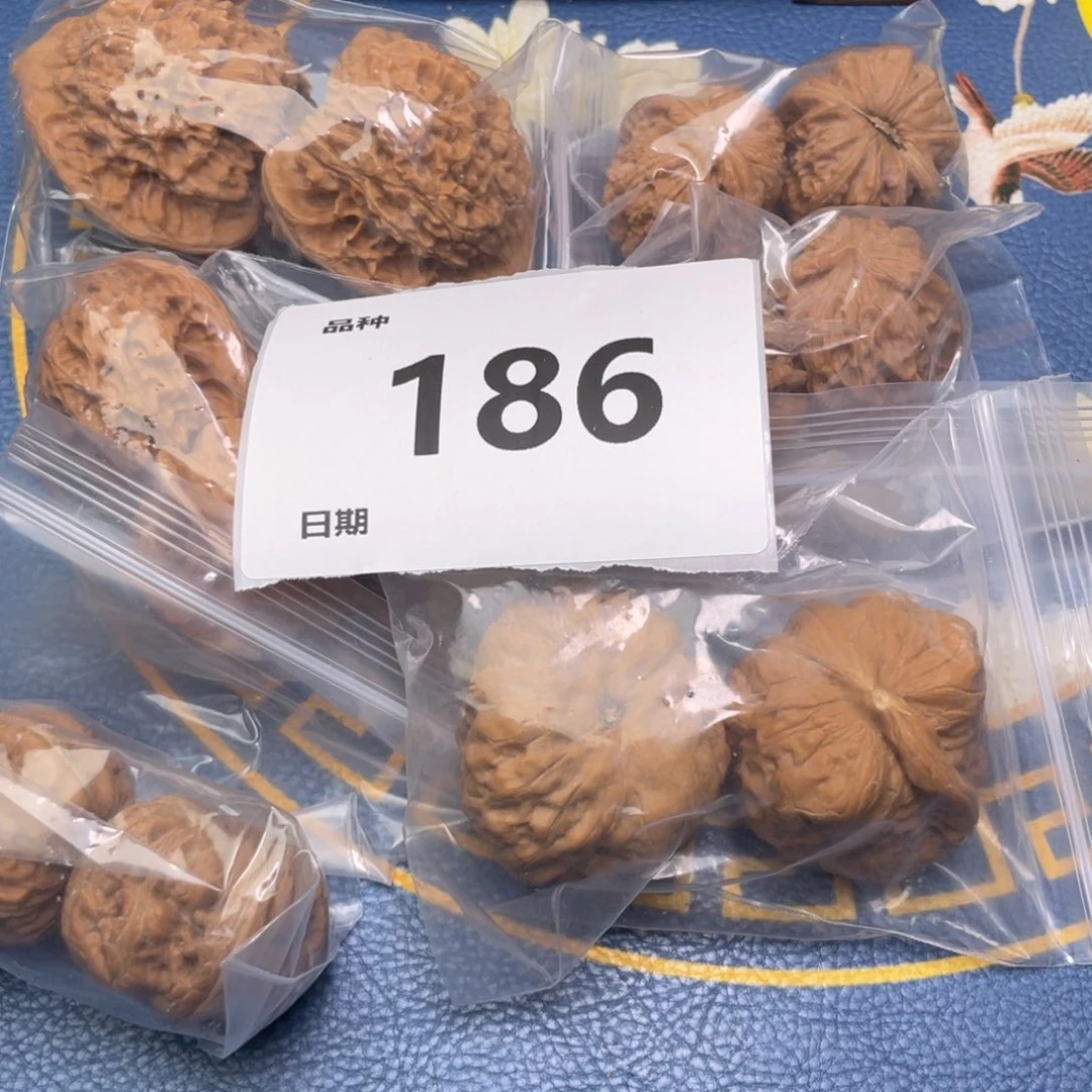 文玩核桃把件186号6对带蛤蟆