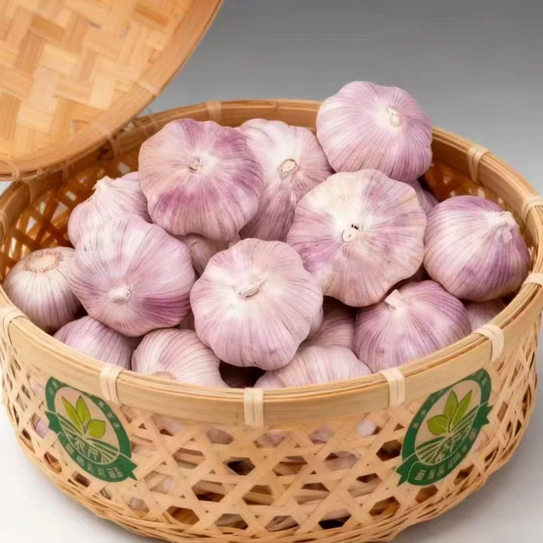 2正宗农家紫白皮大蒜新鲜现挖辛辣调味大蒜辛辣
