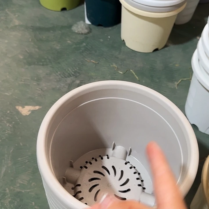 四季3号灰白无托10个特价微瑕