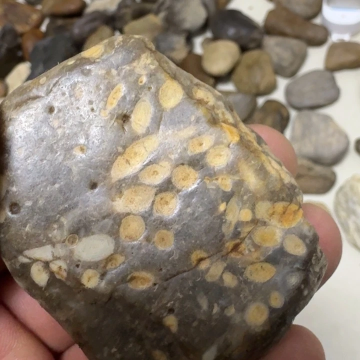 禾***）石材办公室家居摆件啊啊啊