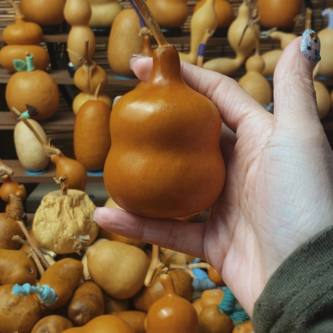 燕***蝶88888888888888888