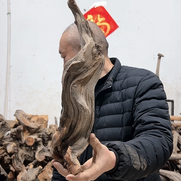 柏木快*我们的生活也是如此
