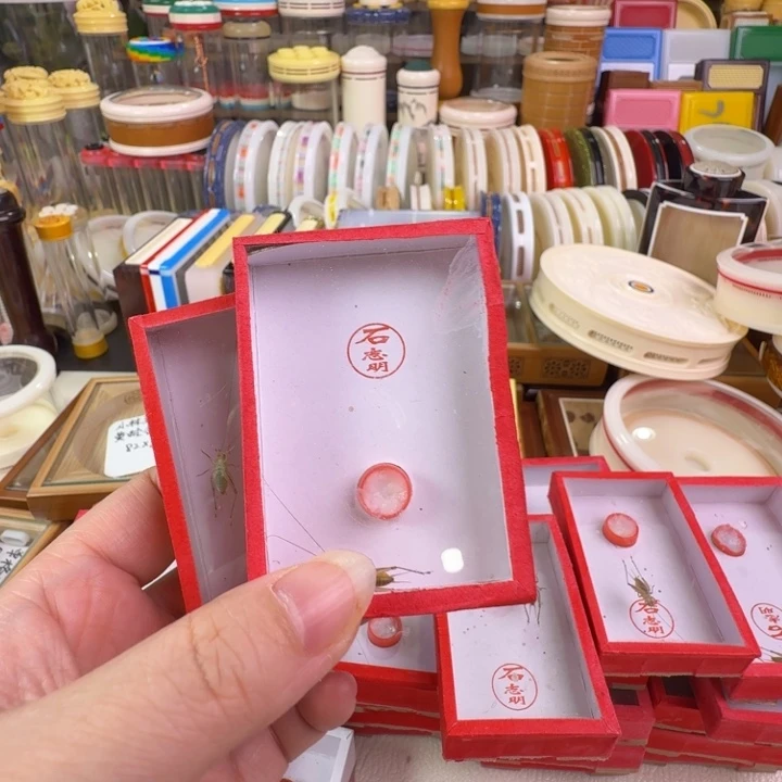 ゛***₂蟋蟀3只长须冬黄龄合适