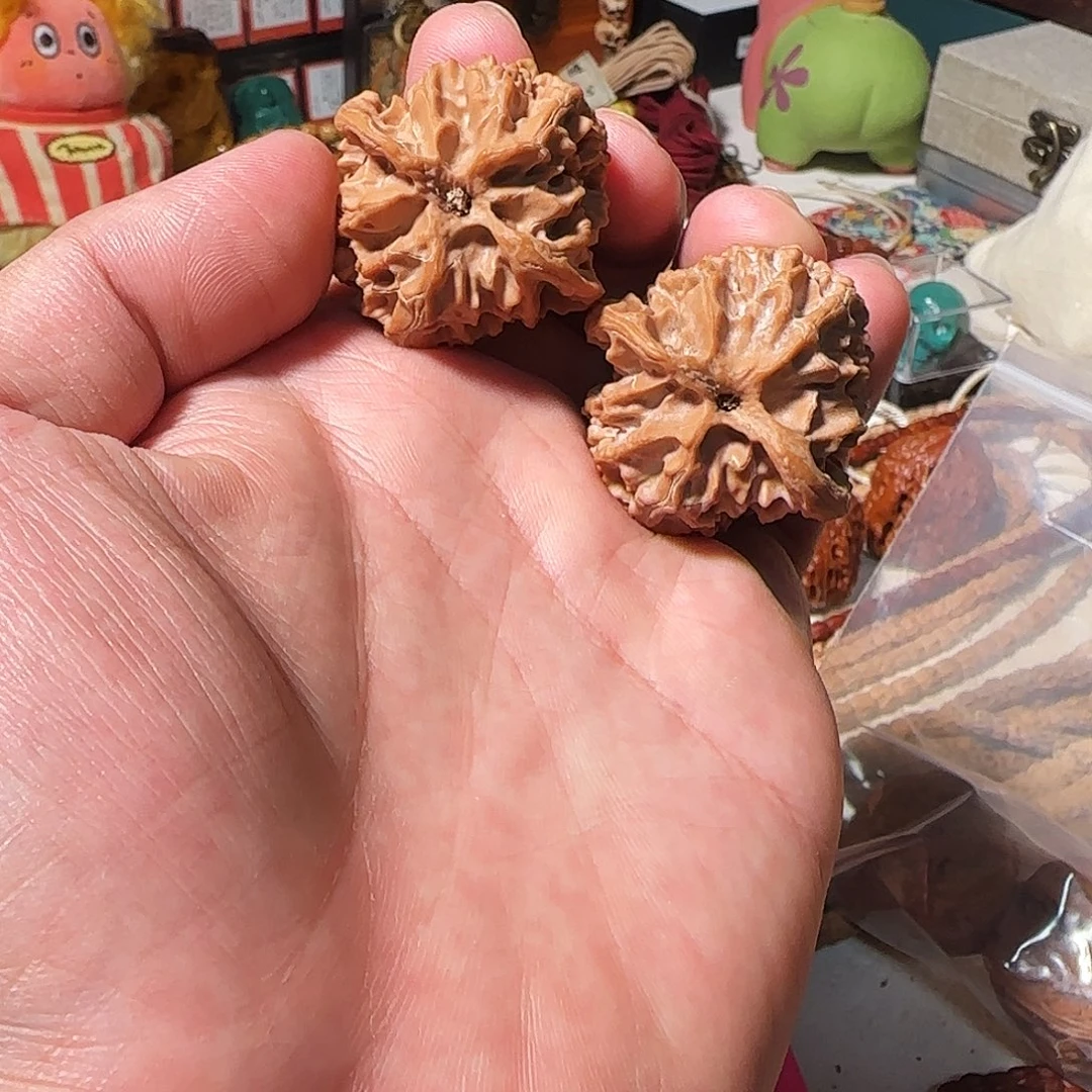 吊坠柏香籽/百香籽小小苹果王