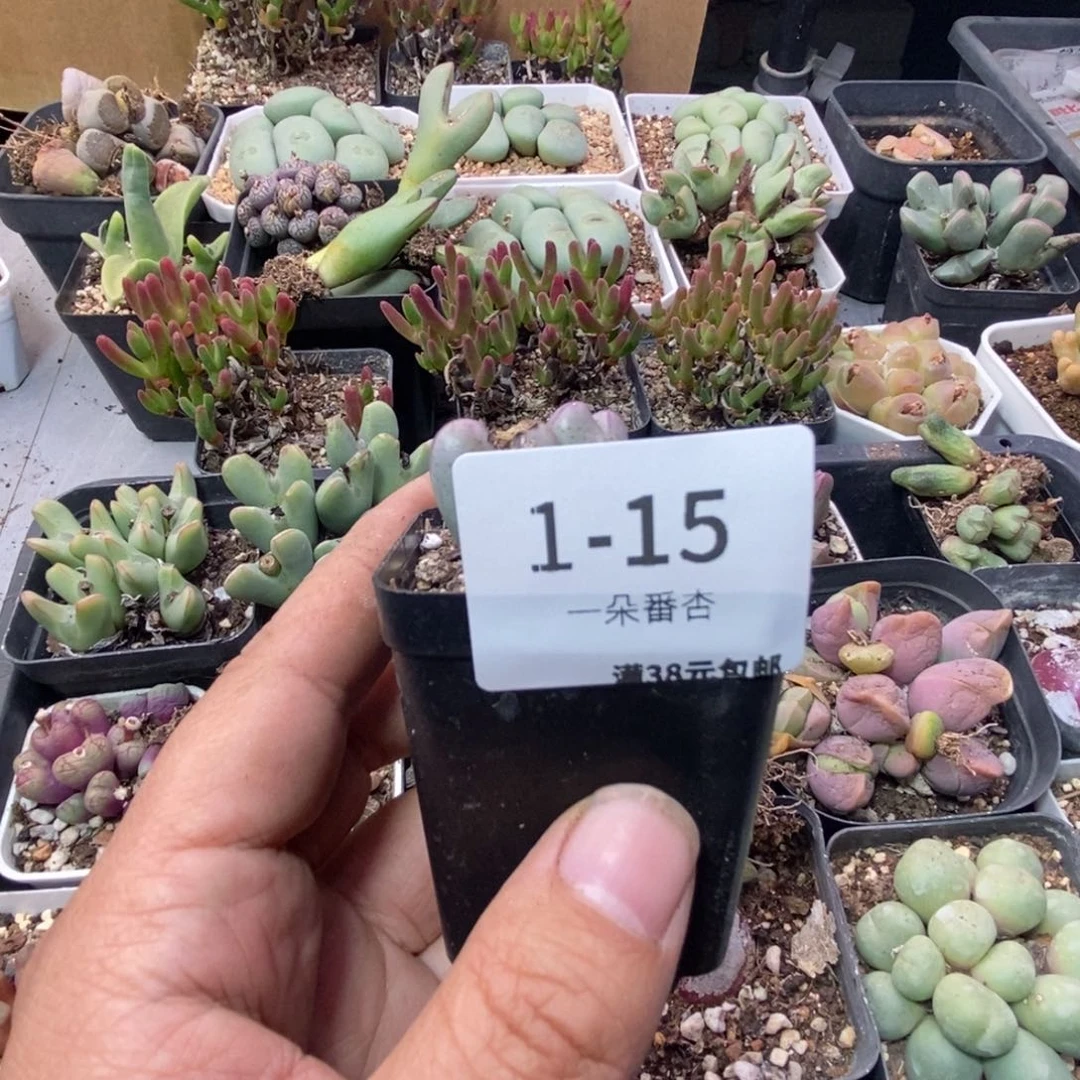 豪***?4566969999999998