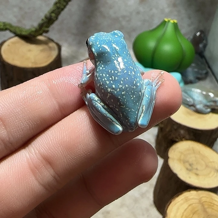 老爷树蛙6 魔鬼蓝暴雪