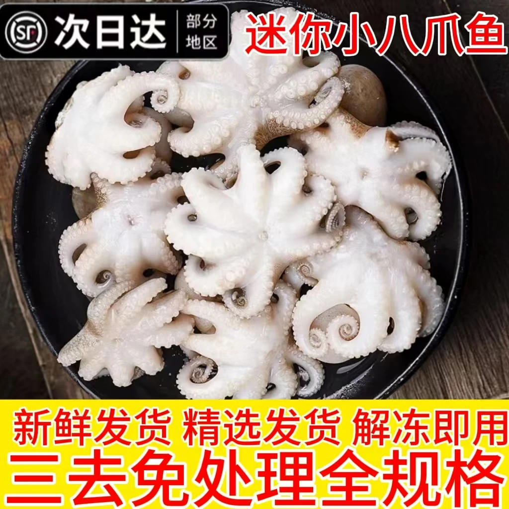 迷你八爪鱼鲜活冷冻免处理新鲜网红爆头短腿小章鱼去内脏水产商用