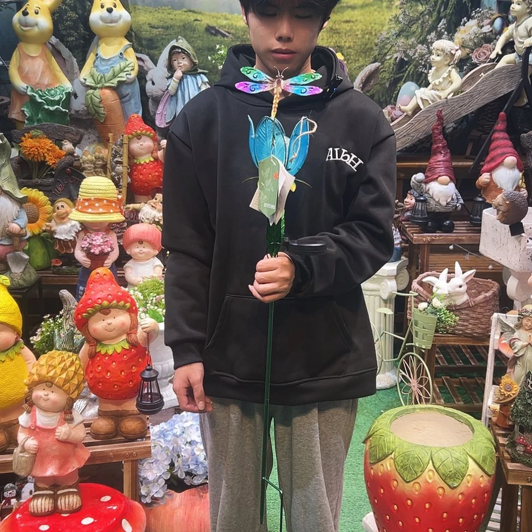 花园摆件红红火火