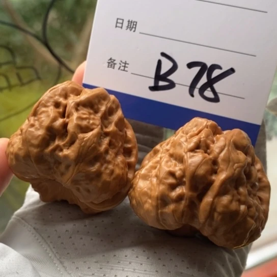 煤***饼文玩核桃吊坠42蛤蟆头