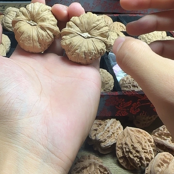 果***儿龙脊菩提吊坠啊啊啊啊啊啊啊啊啊啊啊11