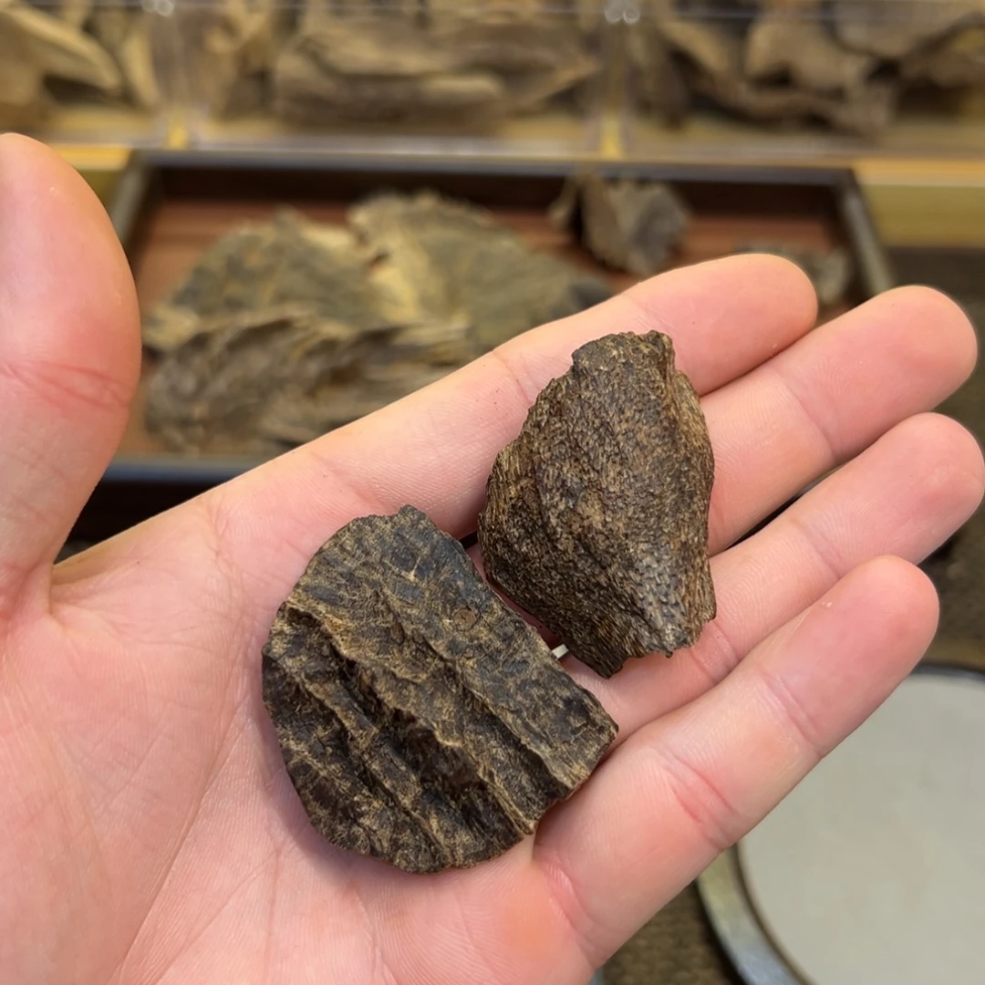 海南尖峰岭沉水包头10g