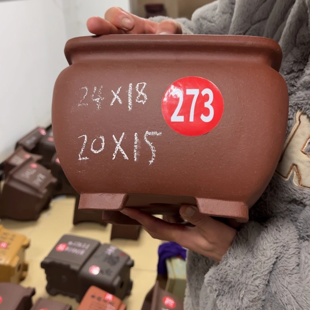 紫砂花盆呜呜呜呜