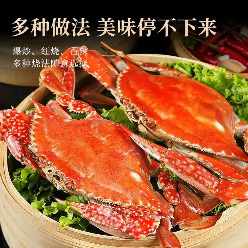【精品中大二母】鲜梭子蟹2-4斤2-4两3-6只顺丰闪送【保鲜不保活】