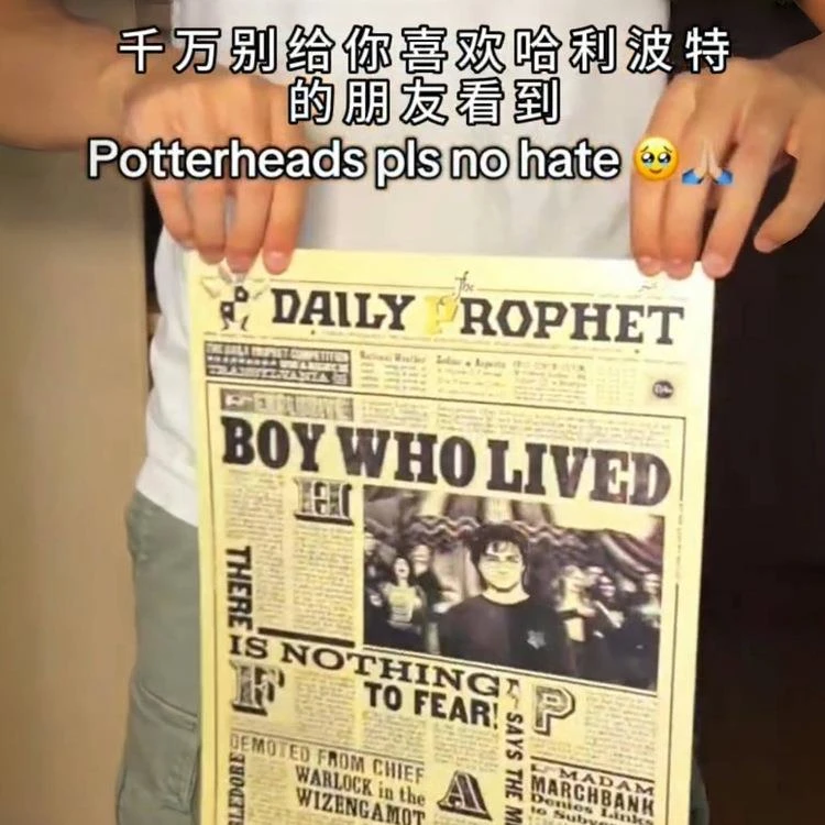 哈利波特光栅报纸创意3D立体海报家用动漫纪念墙贴送朋友生日礼物