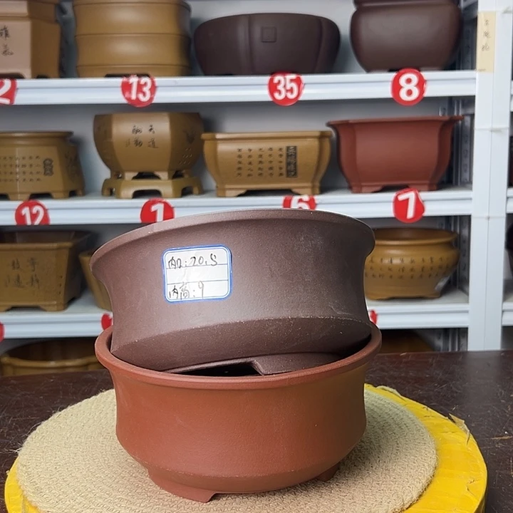 花盆紫砂你在一起