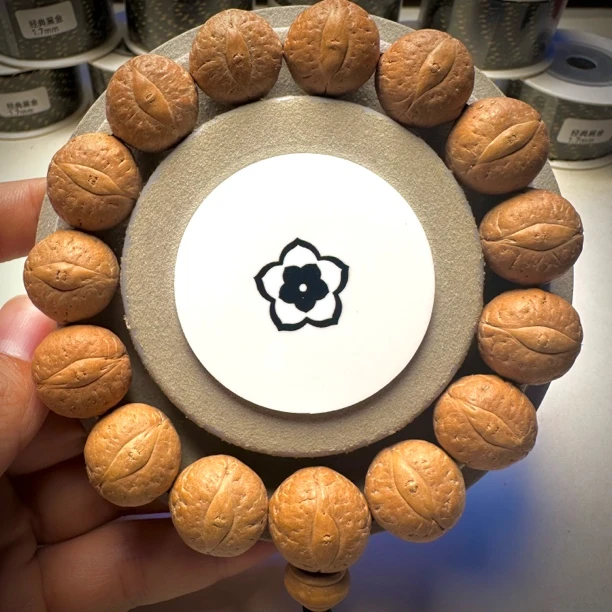 喜鹊7号17mm，14颗，编号147超大尺寸尼泊尔凤眼菩提一物一图