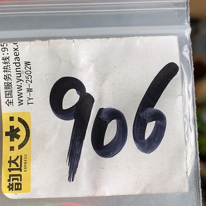 奔***友吊坠龙脊菩提喜乐购专项链接