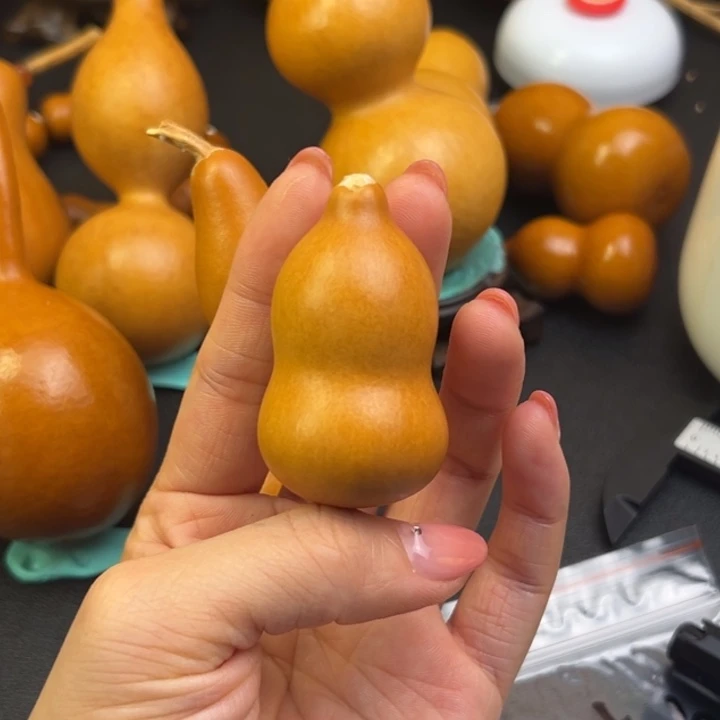 修****?葫芦葫芦葫芦葫芦葫芦