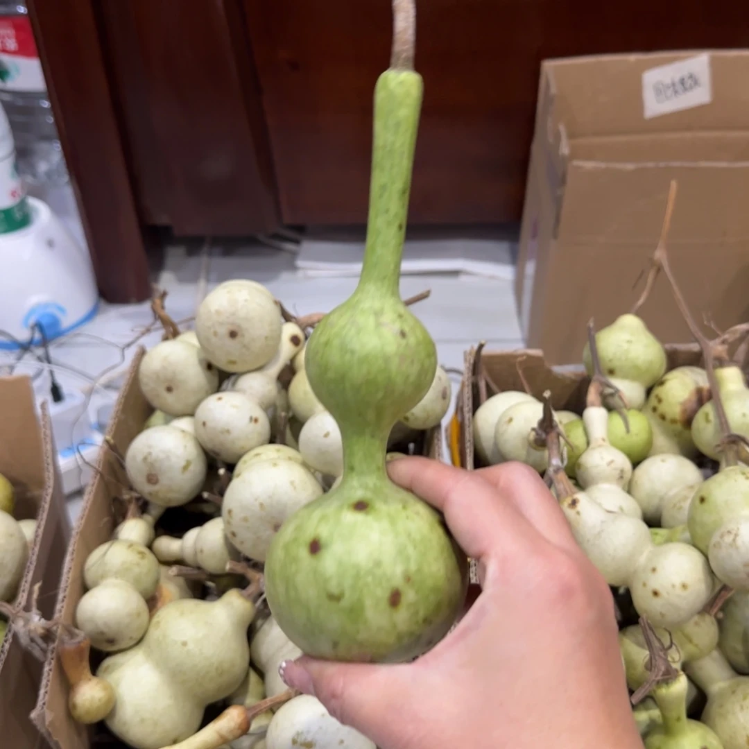 青皮不包成，，，，，，，，，，