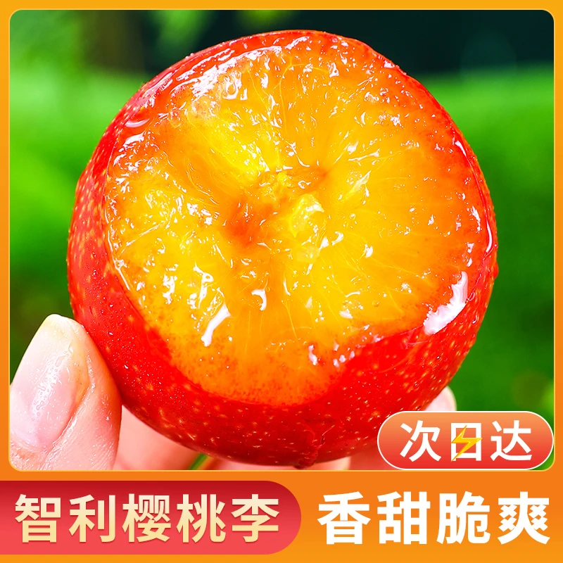 官方特惠【智利樱桃李】智利进口珠宝李樱桃李子新鲜应季水果鲜果整箱原箱甜好吃水果