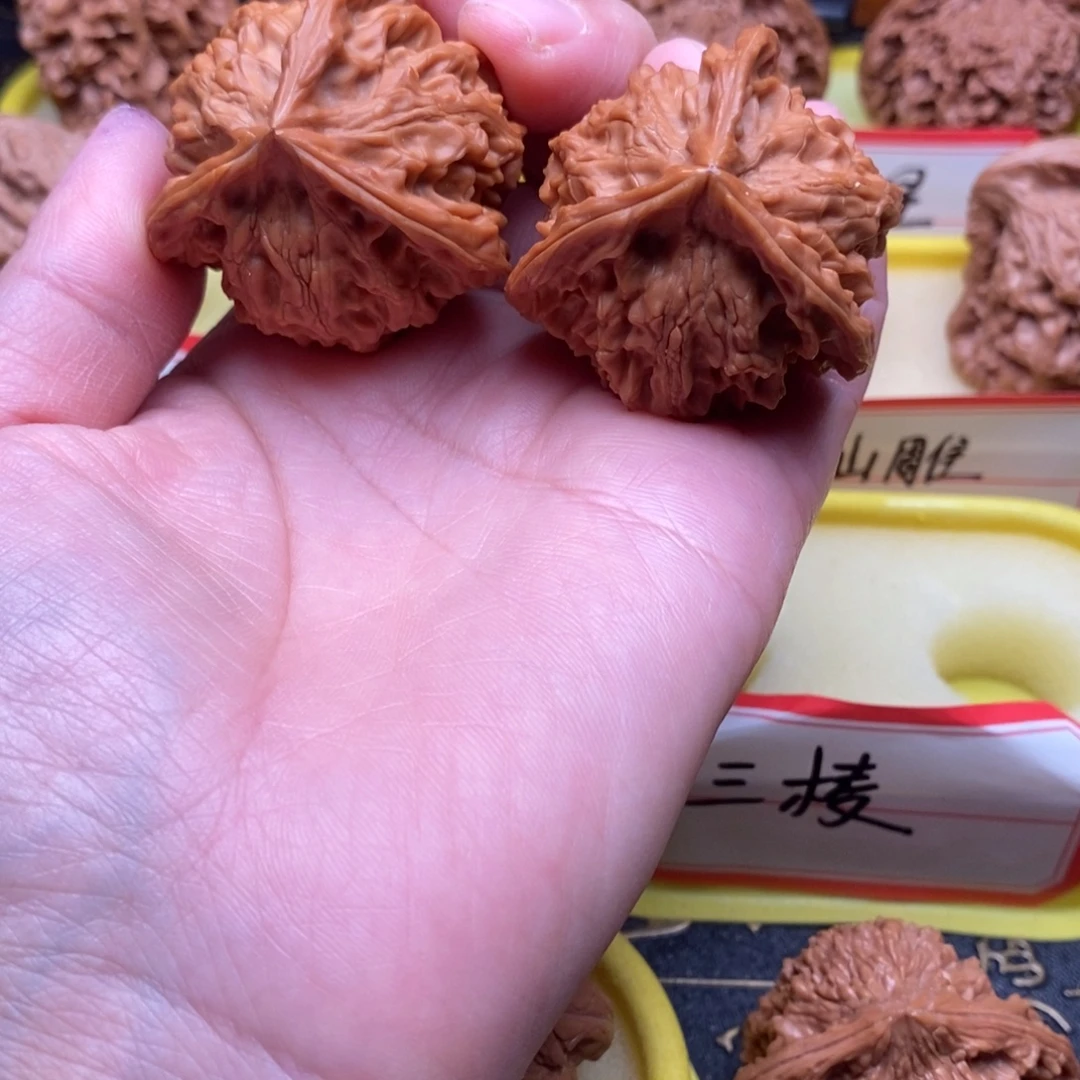 冷***雨菩提三棱三棱三棱