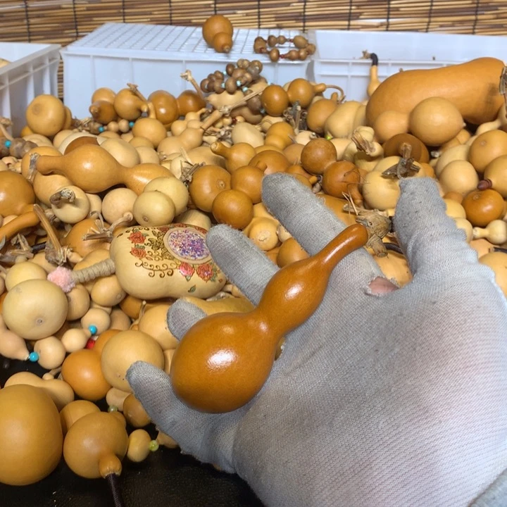 梨等经济林作物为食用之佳果品