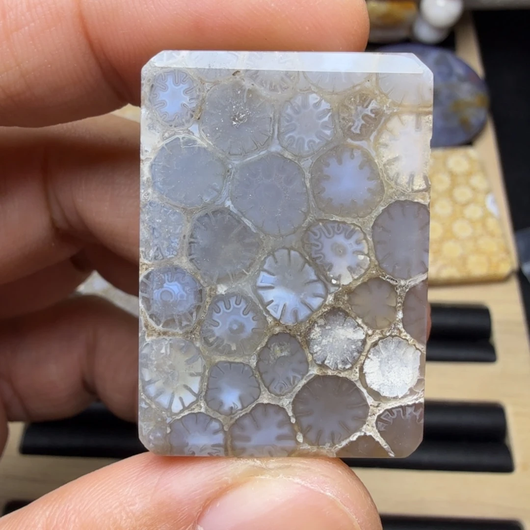 硅化玉未镶嵌纯天然色有机玉石保真色