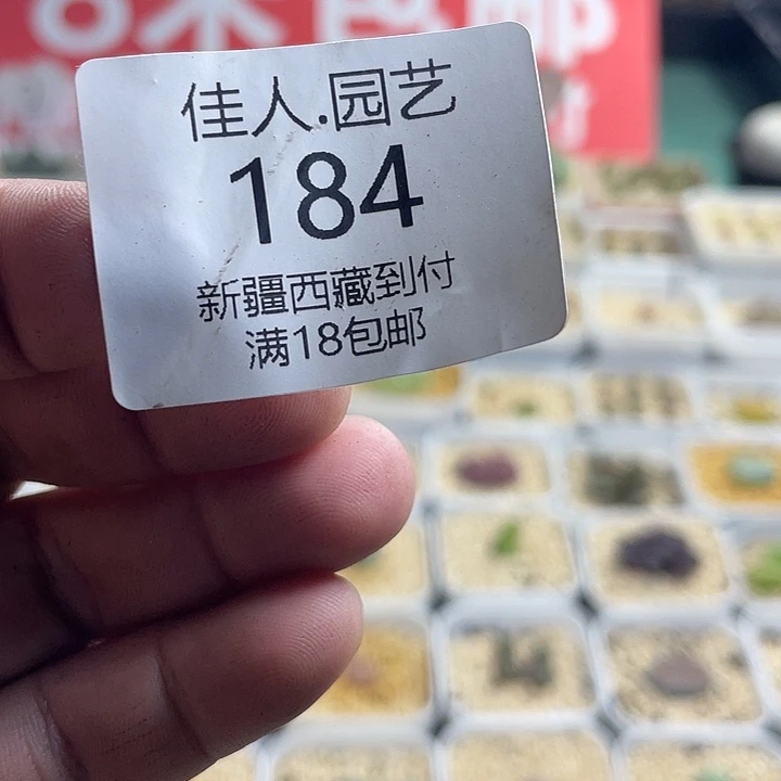 安***然佳人园艺有多少风景184