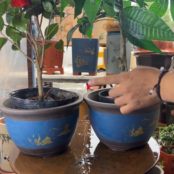 宜兴紫砂25+25蓝色