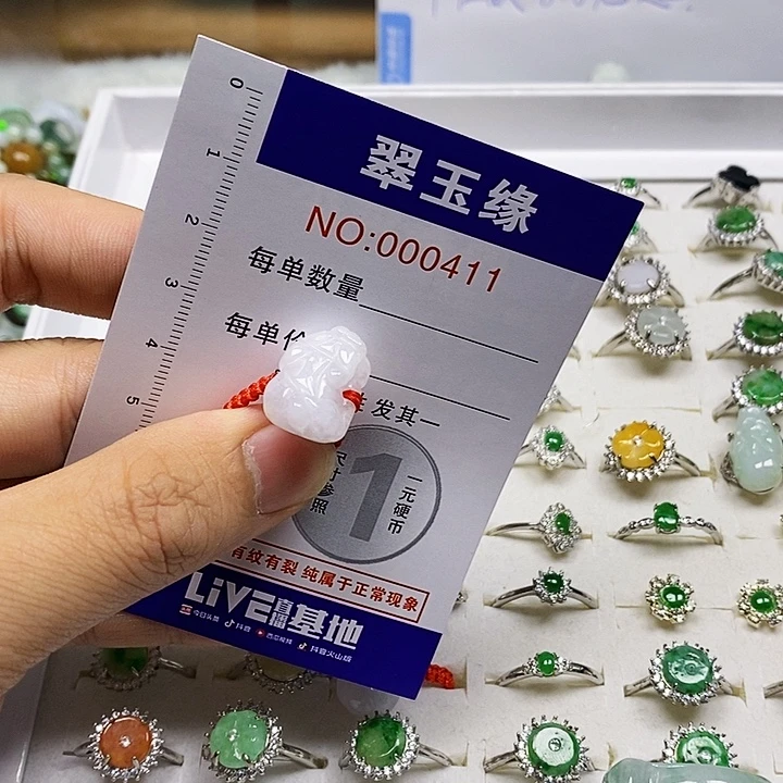 Q***n翡翠未镶嵌颈饰翡翠