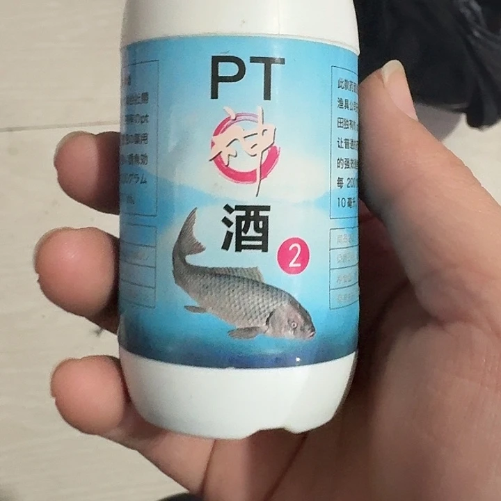 pT 神酒 一瓶 一单