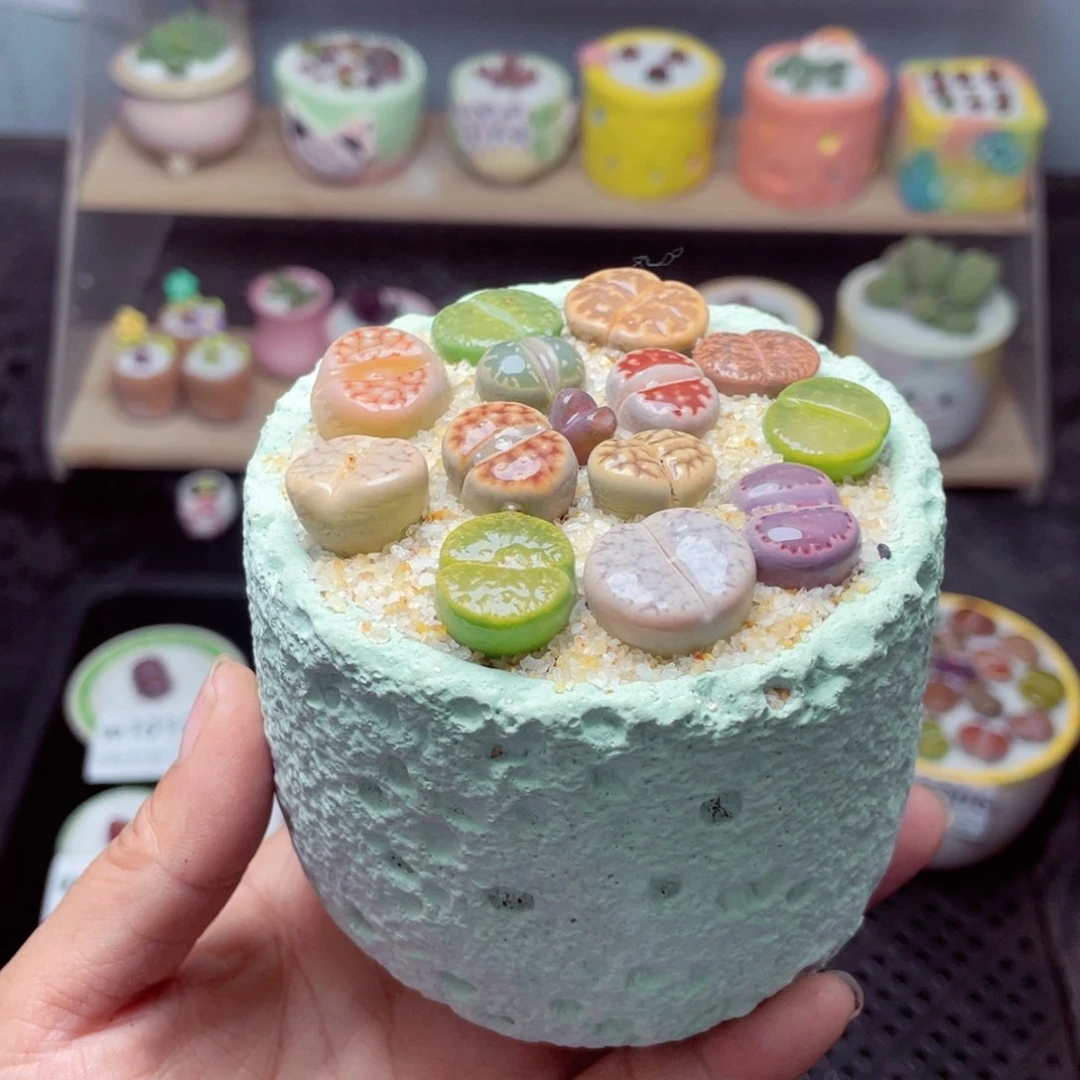 w1014 带盆土发货-零下地区拍保温箱