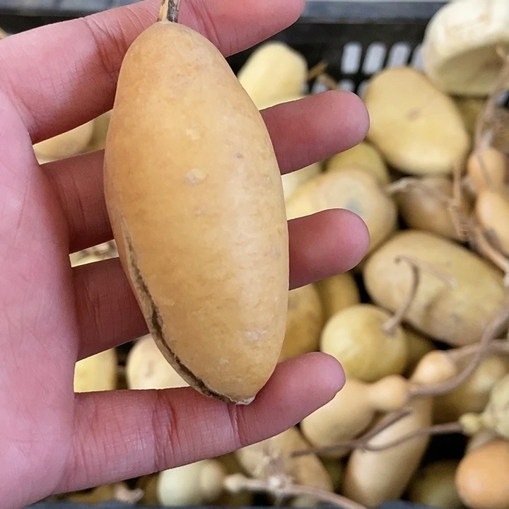 用****7s f h j j j k kh h j j