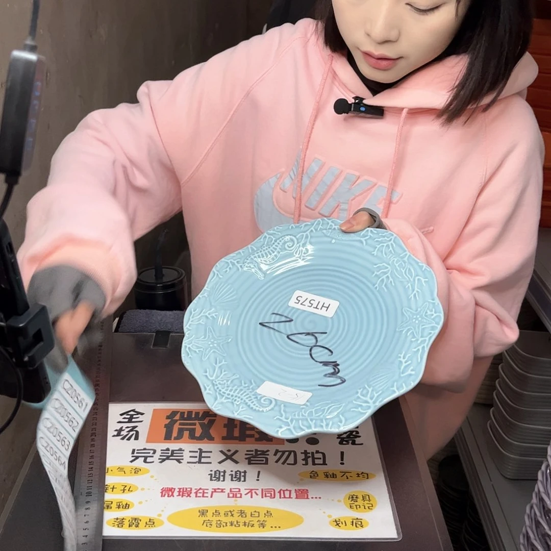 瓷片0560。          2个。大号