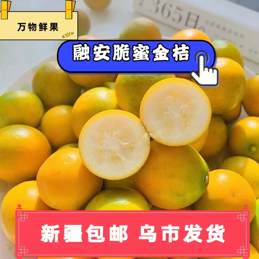 【新疆包邮】正宗广西融安第三代脆蜜金桔 纯甜 不麻嘴不涩口