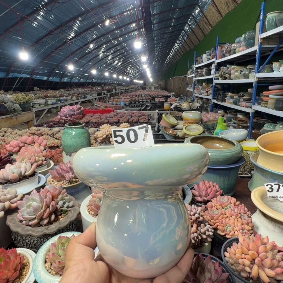 特价花盆满50发货内口11