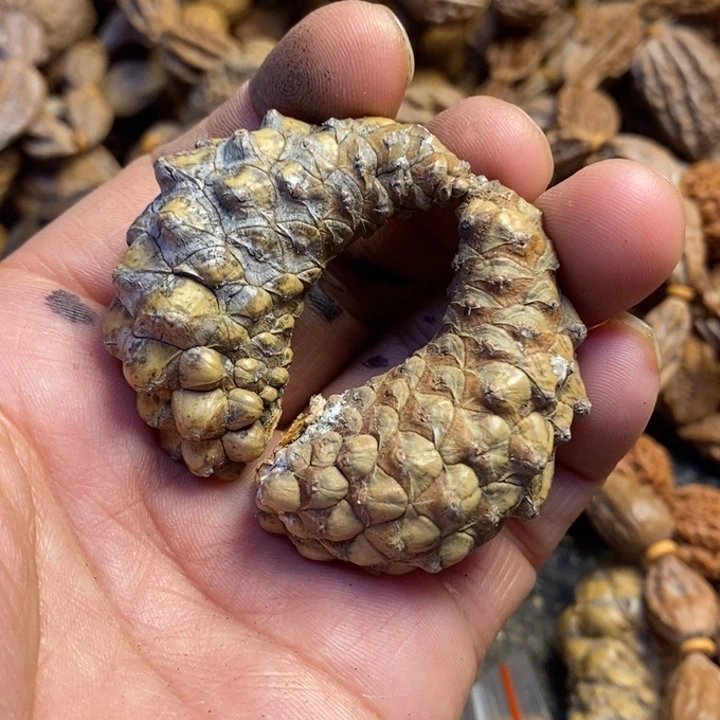 文玩核桃吊坠东北特产56