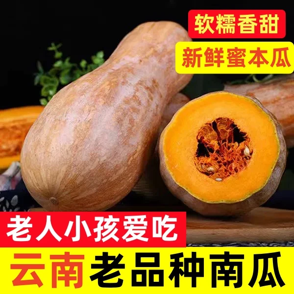 【大降价】云南正宗蜜本南瓜甜糯老南瓜批发当季新鲜蔬菜非贝贝南瓜