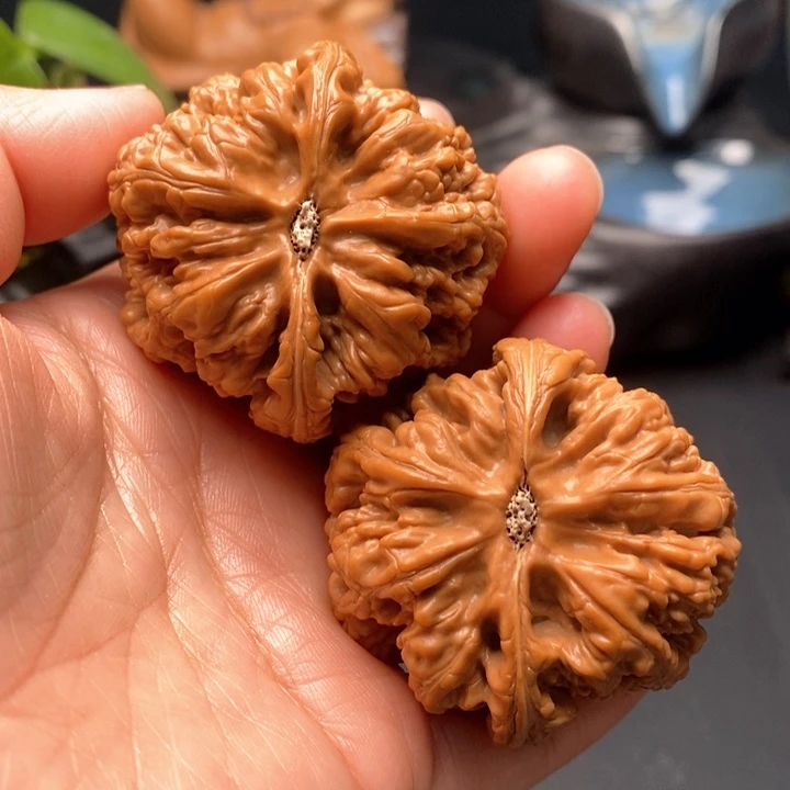 把件文玩核桃粗筋45尺