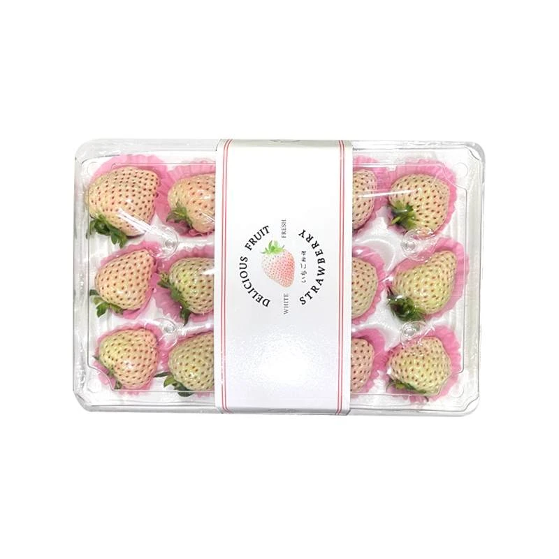 粉黛草莓 250g   15g+