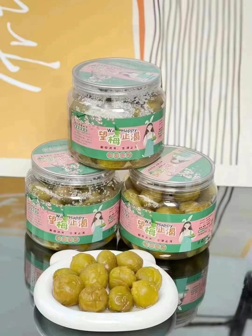 潮汕特产酸甜脆梅传统手工口水梅青梅爽口果干