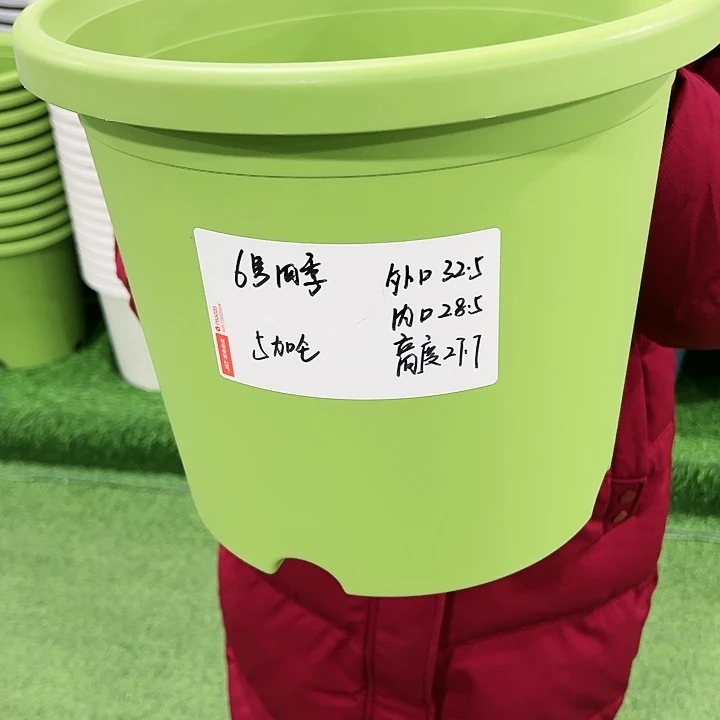 特价6号四季口32高28白色无托4只