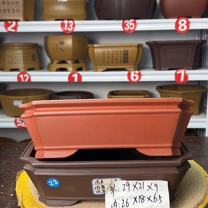 花盆紫砂你在一起